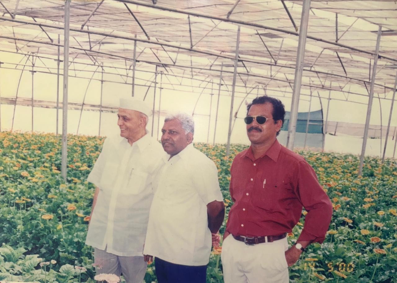 Greenhouse Project 52